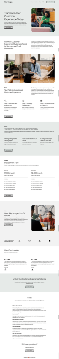 Customer experience consultant website design example